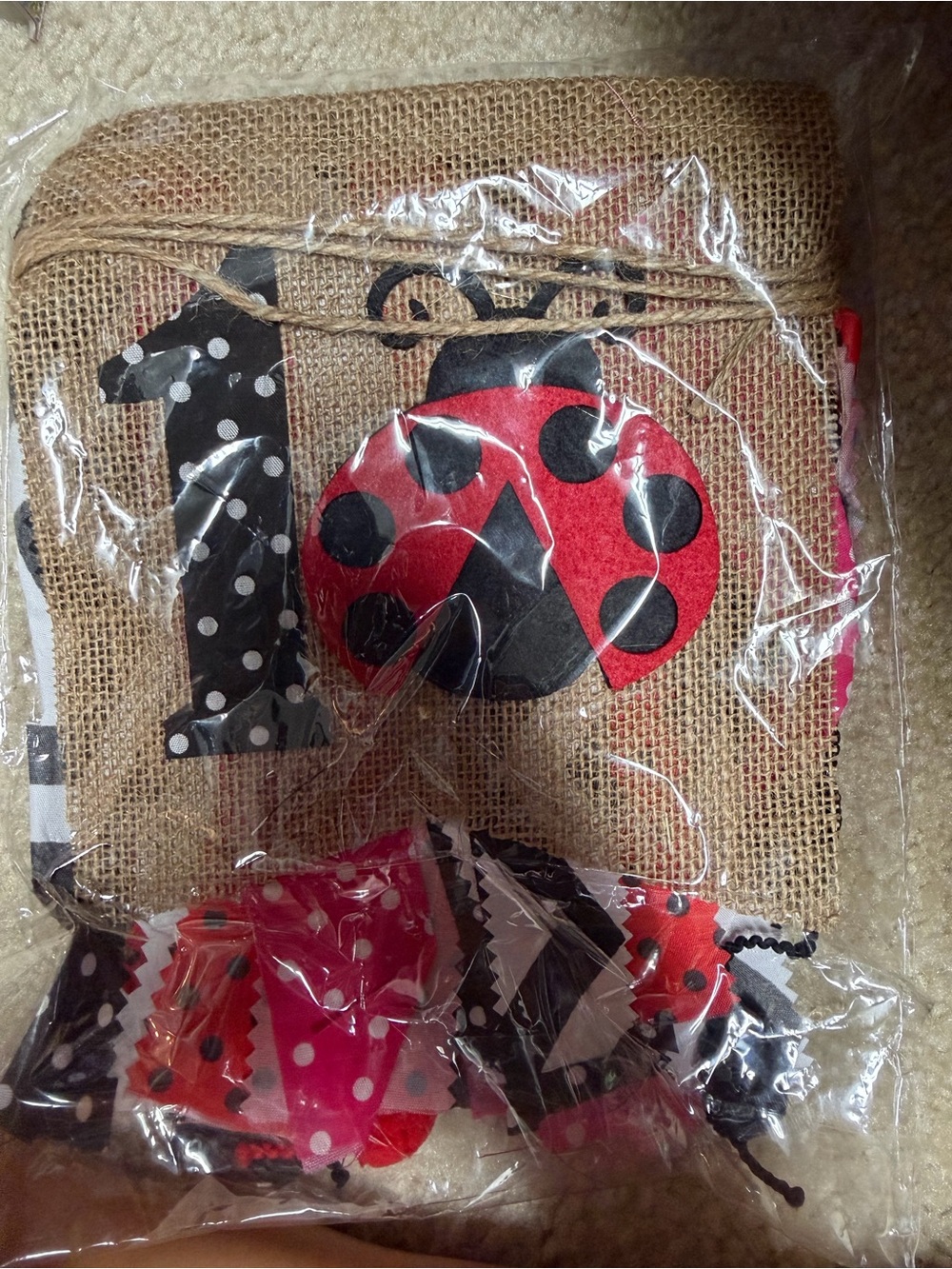 Kids Ladybug 1st birthday banner - Pink, Red & Black
